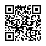 T38338-12-0 QRCode