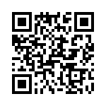 T38368-10-0 QRCode