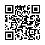 T38410-06-0 QRCode