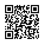 T38410-12-0 QRCode