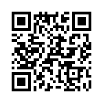 T38410-13-0 QRCode