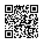 T38413-03-0 QRCode