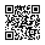 T38413-14-0 QRCode