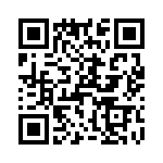 T38423-17-0 QRCode