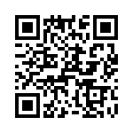 T38428-17-0 QRCode