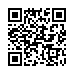 T38430-04-0 QRCode