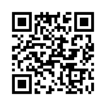 T38432-24-0 QRCode