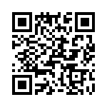 T38440-07-0 QRCode