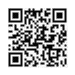 T38462-11-0 QRCode