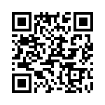 T38462-17-0 QRCode