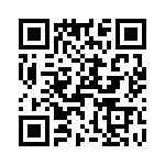 T38510-17-0 QRCode