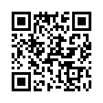 T38511-13-0 QRCode