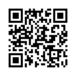 T38511-19-0 QRCode