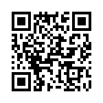 T38512-10-0 QRCode