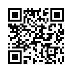 T38513-07-0 QRCode