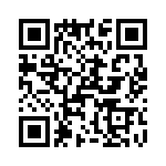 T38515-03-0 QRCode