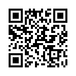 T38523-10-0 QRCode