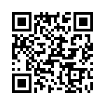 T38525-16-0 QRCode