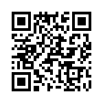 T38527-08-0 QRCode