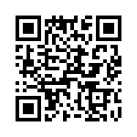 T38528-25-0 QRCode