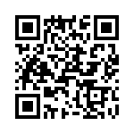 T38530-05-0 QRCode