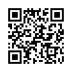 T38530-13-0 QRCode