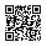 T38532-22-0 QRCode