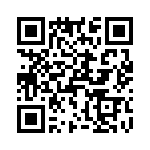 T38533-05-0 QRCode