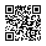 T38538-02-0 QRCode