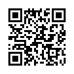 T38541-23-0 QRCode