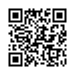 T38545-13-0 QRCode