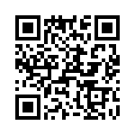 T38545-17-0 QRCode