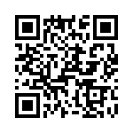 T38548-17-0 QRCode