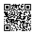 T38560-09-0 QRCode