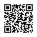 T38560-11-0 QRCode