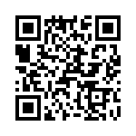 T38560-20-0 QRCode