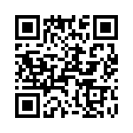 T38562-23-0 QRCode