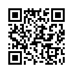 T38563-13-0 QRCode