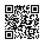 T38565-13-0 QRCode