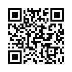 T40324500000G QRCode