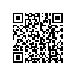 T86E336K025EASS QRCode