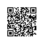 T95R127K020HZSS QRCode