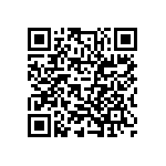 T95Y106M020EZSL QRCode