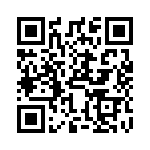 TJE120811 QRCode
