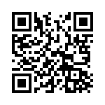 V10P17P QRCode