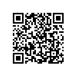 V110B3V3T100BG3 QRCode