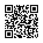 V110B3V3T100BS QRCode