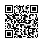 V110C12T100B3 QRCode