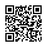 V20E275L2B1 QRCode