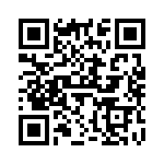 V20H175P QRCode